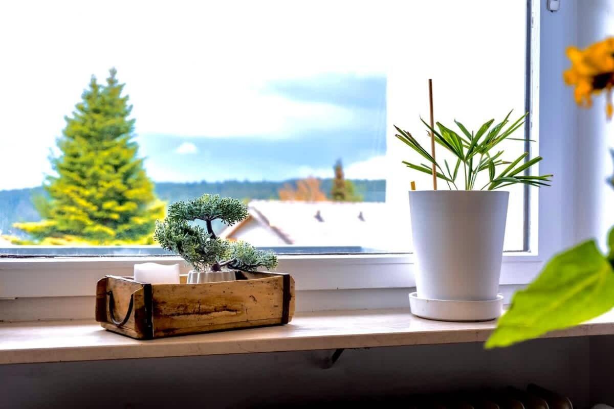 Relaxapartments Black Forest Nature Mit Beheiztem Indoor-Pool Und Sauna - Sonnenbalkon Mit Blick Ins Gruene, Schnelles Internet, Naehe Triberger Wasserfaelle, Fuer Bis Zu 2 Personen Schönwalde Eksteriør billede